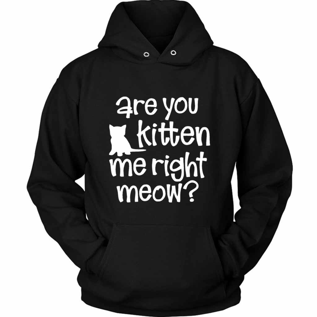 Are You Kitten Me Right Meow Onesie Unisex Hoodie