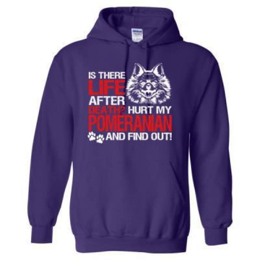 AGR Is There Life After Death Hurt My Pomeranian And Find Out – Heavy Blend™ Hooded Sweatshirt