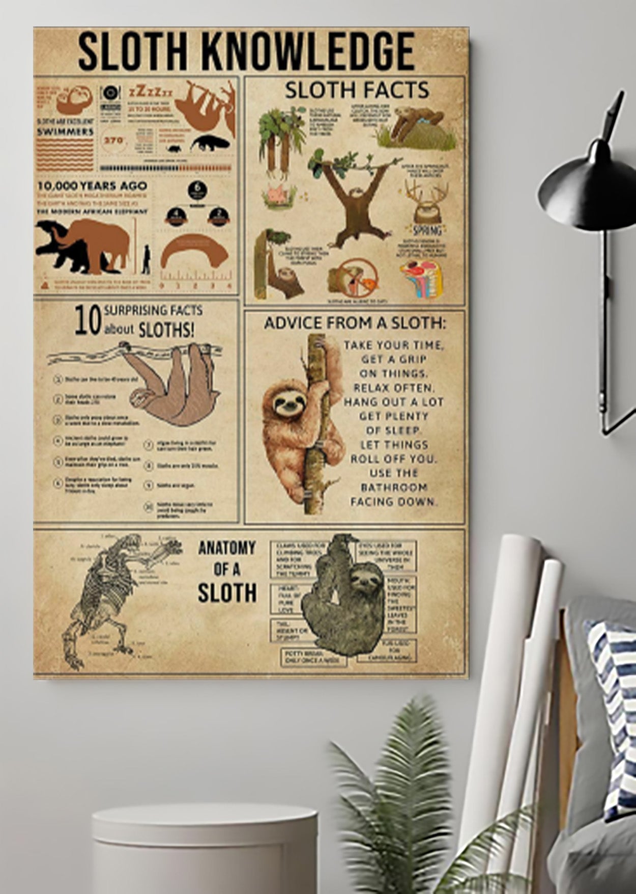 Wild Animal Sloth Knowledge Poster