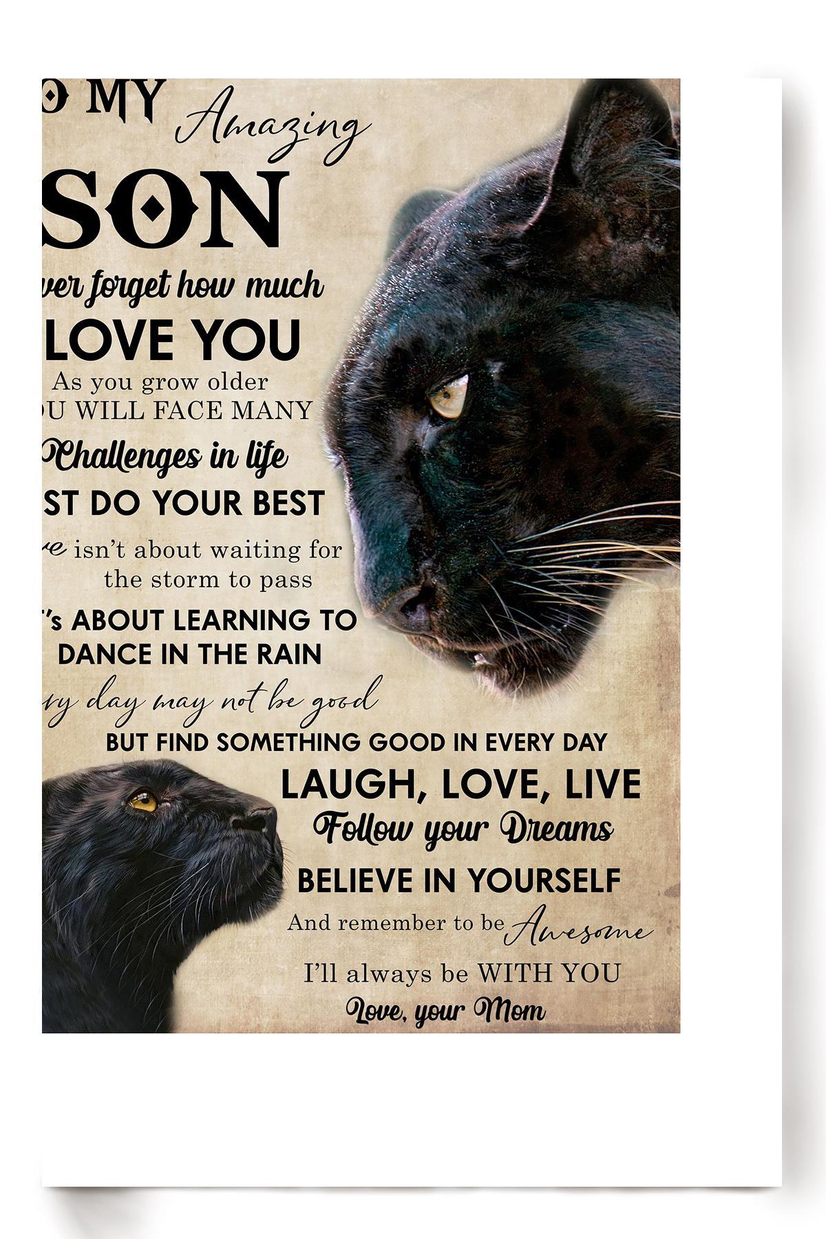 To My Son Quotes Animal Wall Art Gift For Cat Lover Cat Foster Sons Birthday Poster