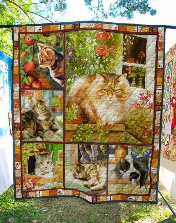 British Cat Cat Of The Day The Kitten With Apple Quilt Blanket