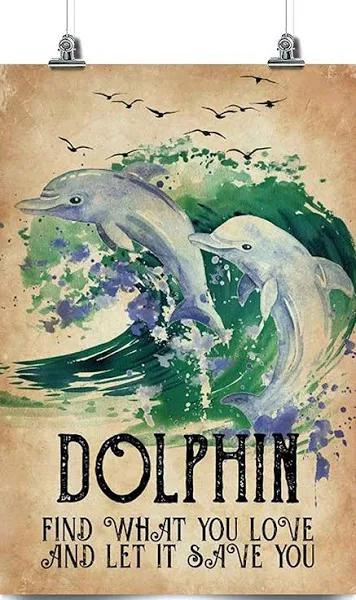 Dolphin Poster – Decorative Posters, Wall Posters, Dolphin Lovers.