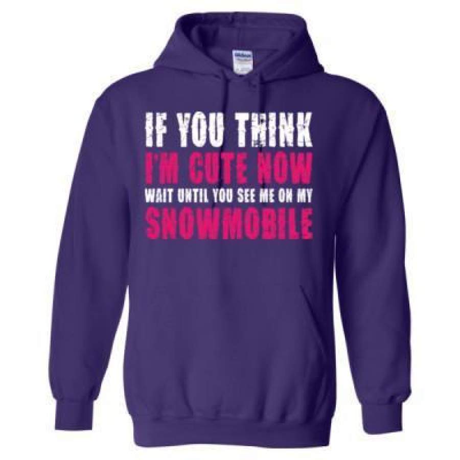 AGR If You Think Im Cute Wait Until You See Me On My Snowmobile – Heavy Blend™ Hooded Sweatshirt