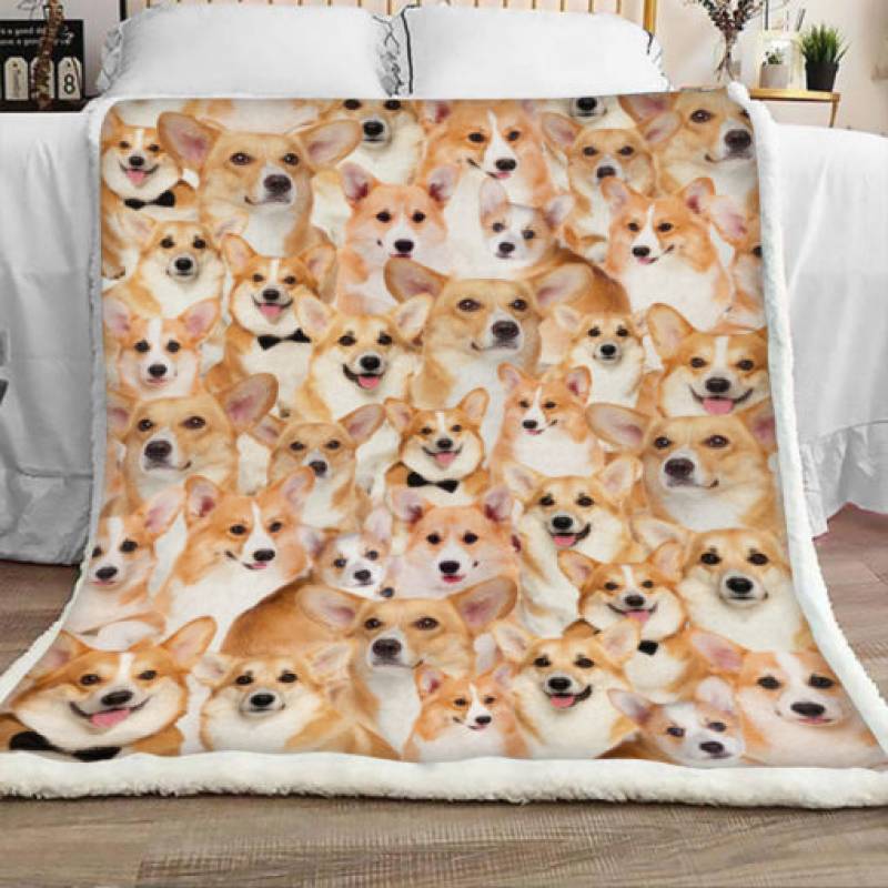 Corgi Dog Sherpa Blanket JR1002 71O57