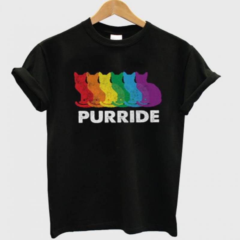 Funny Gay Pride Cat T-Shirt