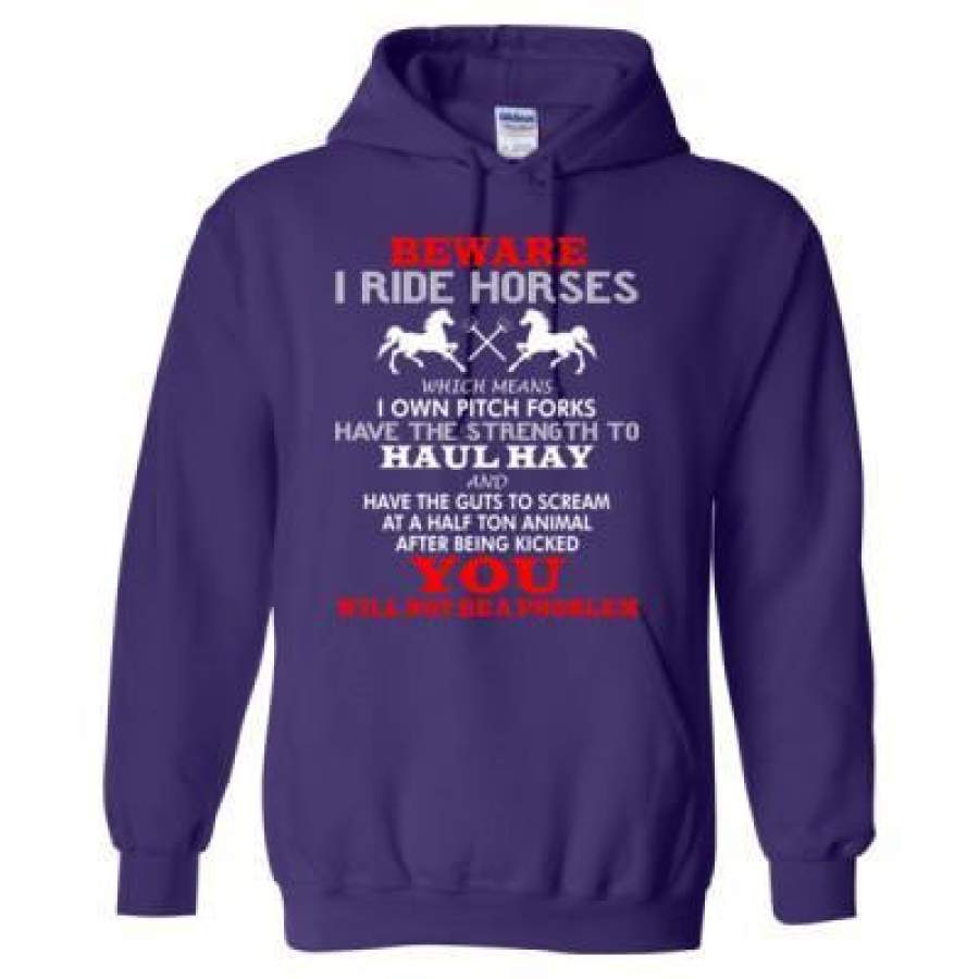 AGR Beware I Ride Horses You Will Not Be A Problem – Heavy Blend™ Hooded Sweatshirt