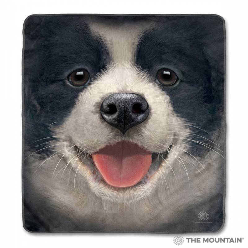 Big Face Border Collie Puppy CLA1712747F Sherpa Fleece Blanket