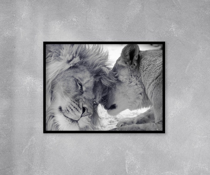 Valentine Gift For Her/Him, Couple Canvas/Poster For Husband/Wife, Lions In Love