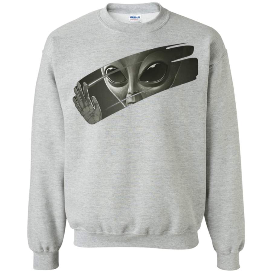 AGR Alien Crewneck Pullover Sweatshirt