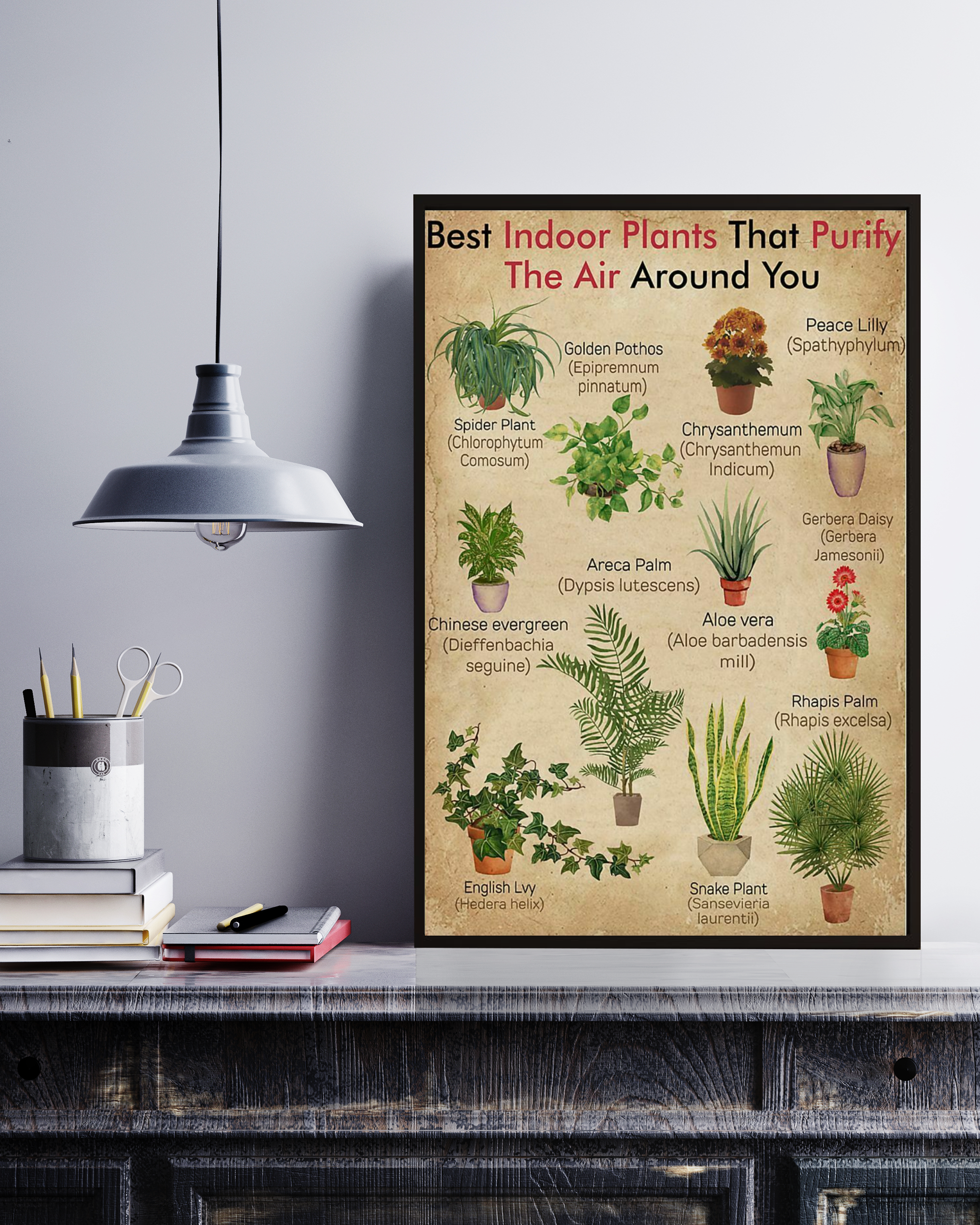 Best Indoor Plants Knowledge Succulents Vertical Poster Wall Decor Poster No Frame