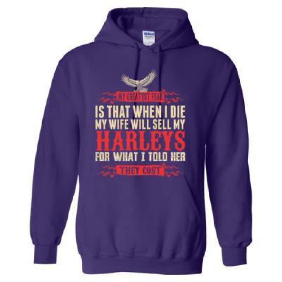 AGR My Greatest Fear Is When I Die My Wife Will Sell My Harleys – Heavy Blend™ Hooded Sweatshirt