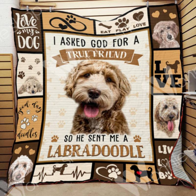 Labradoodle Dog Blanket NOV1901 78O42