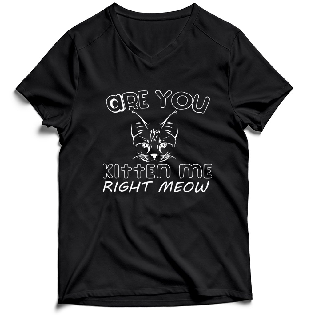 Are You Kitten Me Right Meow Maind Men’s V-Neck Tee T-Shirt