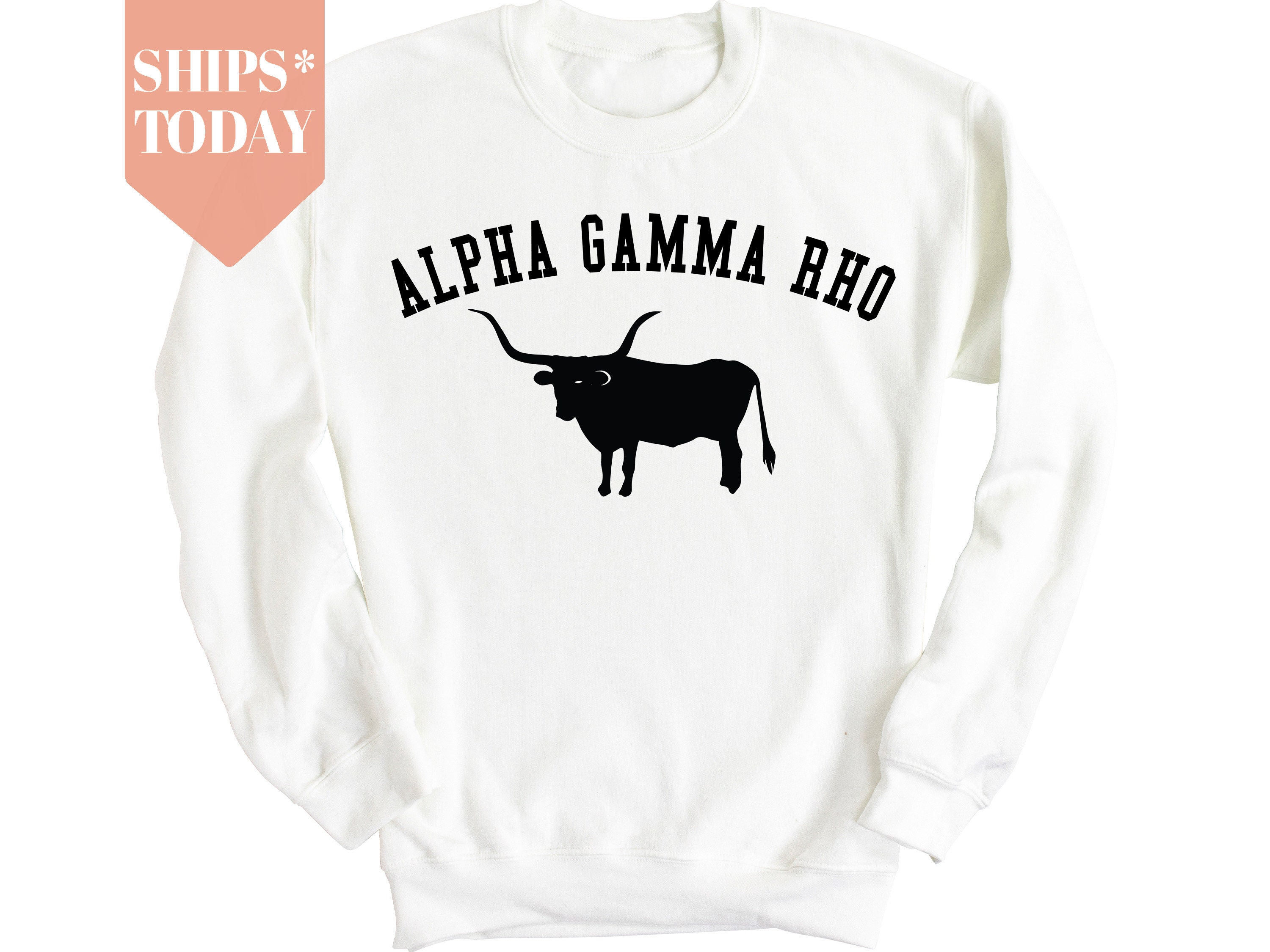 Alpha Gamma Rho Long Horn Fraternity Sweatshirt | AGR Fraternity | Greek Apparel | Initiation Gift | Fraternity Gifts | AGR Hoodie _ 1525g