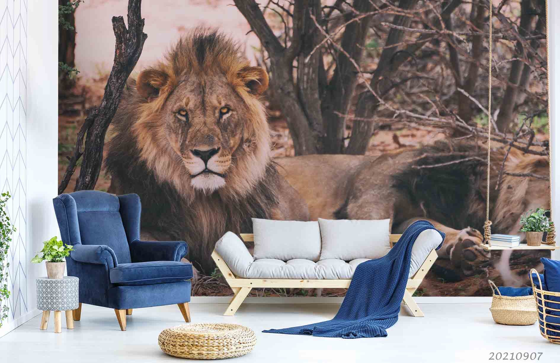 3D Forest Animal Lion Wall Mural Wallpaper Lqh 65