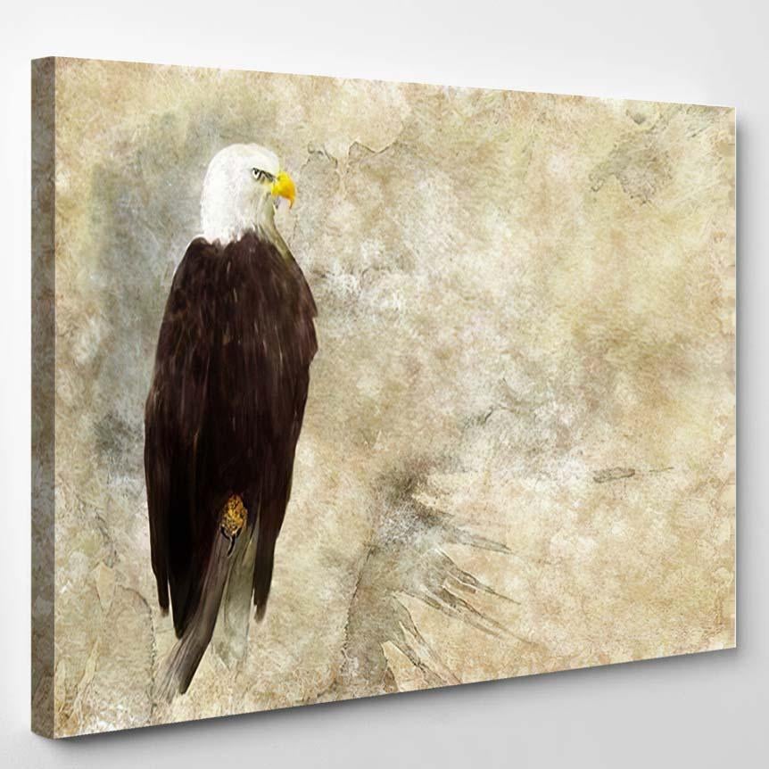 American Bald Eagle Digital Watercolor Illustration – Eagle Animals Canvas Print