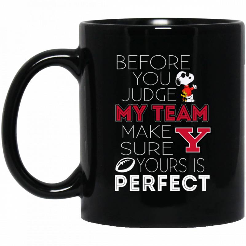 Youngstown State Penguins Tea Mug Coffee Mug Before Judge My Team