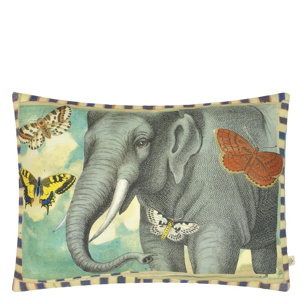 Elephant’S Trunk Sky Decorative Pillow