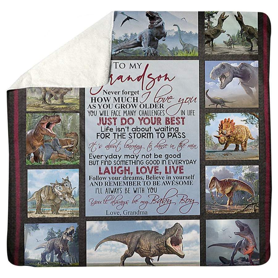 T-Rex To My Grandson Special Family Gift Sherpa Blanket