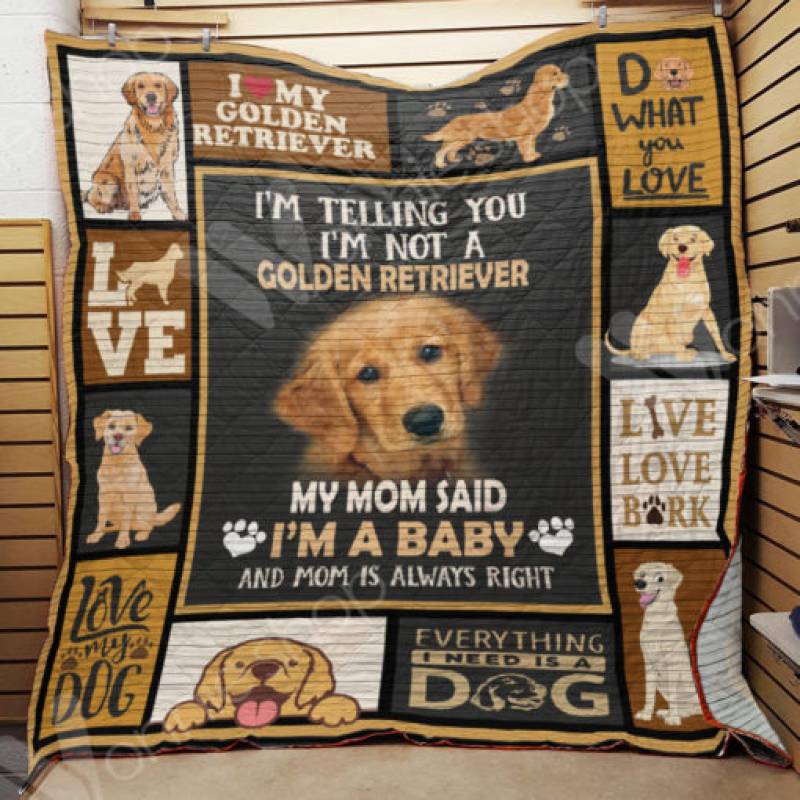 Golden Retriever Dog Blanket AU2301 81O43