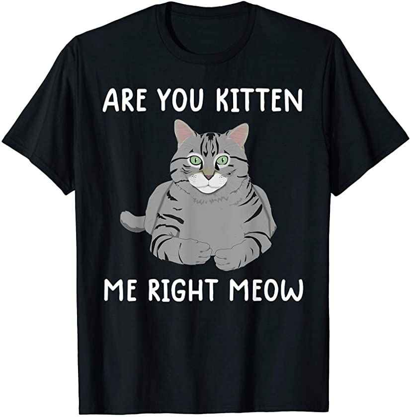 toddler funny kitten cat T-Shirt