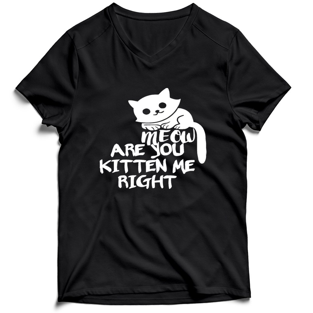 Are You Kitten Me Right Meow Classic Men’s V-Neck Tee T-Shirt