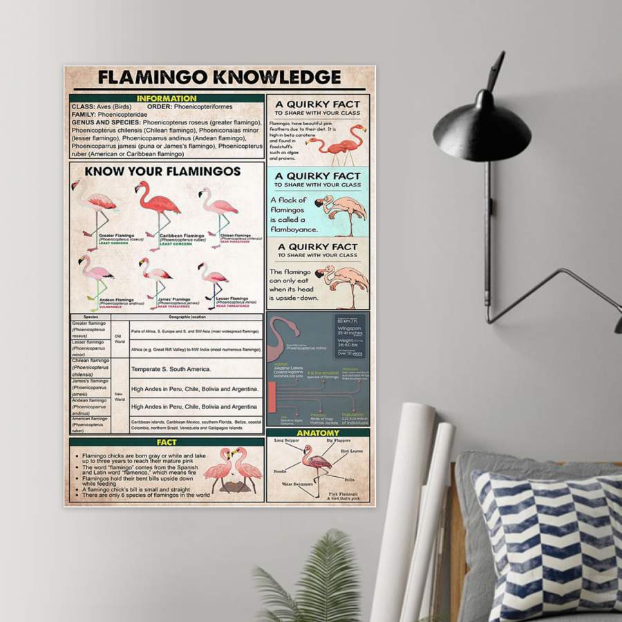 Poster Flamingo Knowledge Gift For Flamingo Lovers
