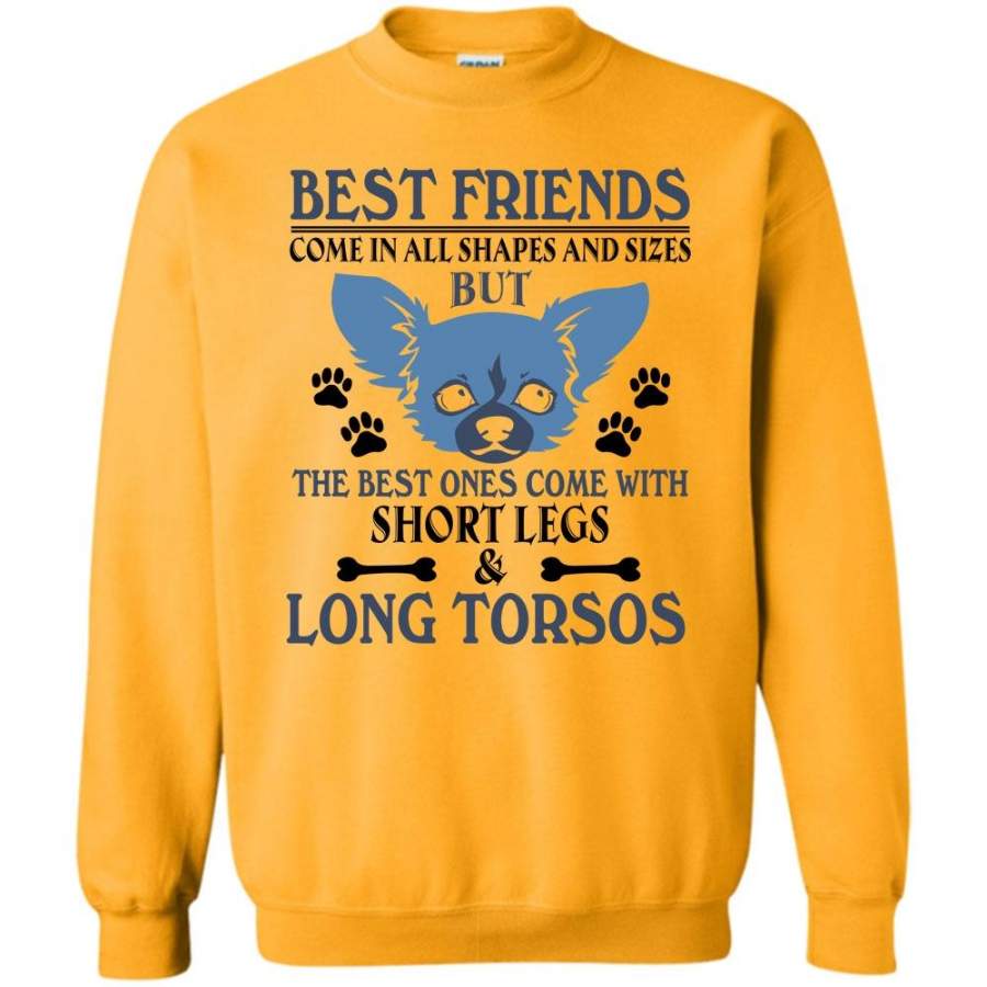 Coolest Dog T Shirt, Best Friends Come In All Shapes And Size Sweatshirt