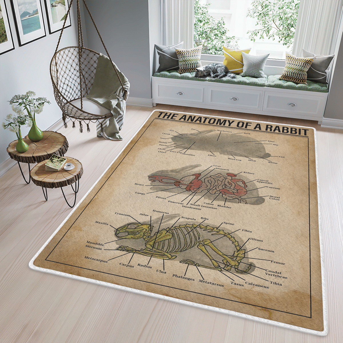 Wooni The Anatomy Of A Rabbit Area Rug, Rectangle Rug Wn210322106