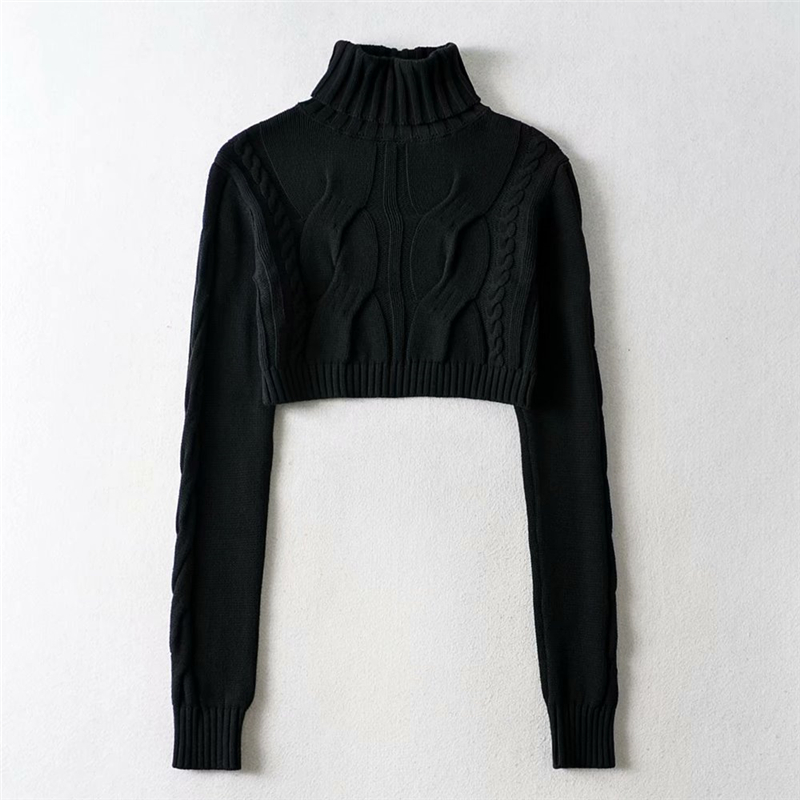 STVY 2020 Chic Autumn Winter Sweater Women Long Sleeve Casual Basic Turtleneck Pullovers Female Black White knitting Sweater Top alx