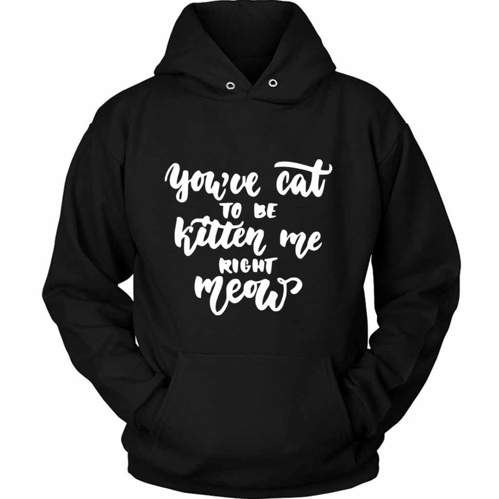 Are You Kitten Me Right Meow Cool Cute Unisex Hoodie