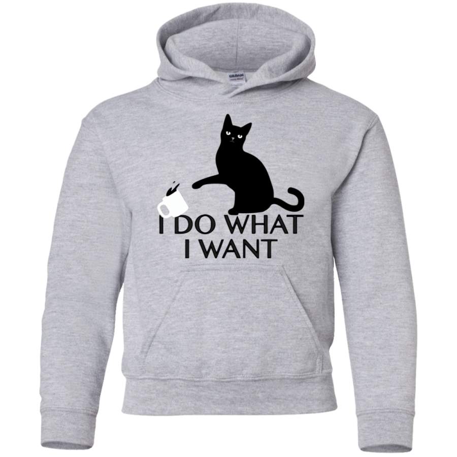 AGR I do what I want Youth Pullover Hoodie