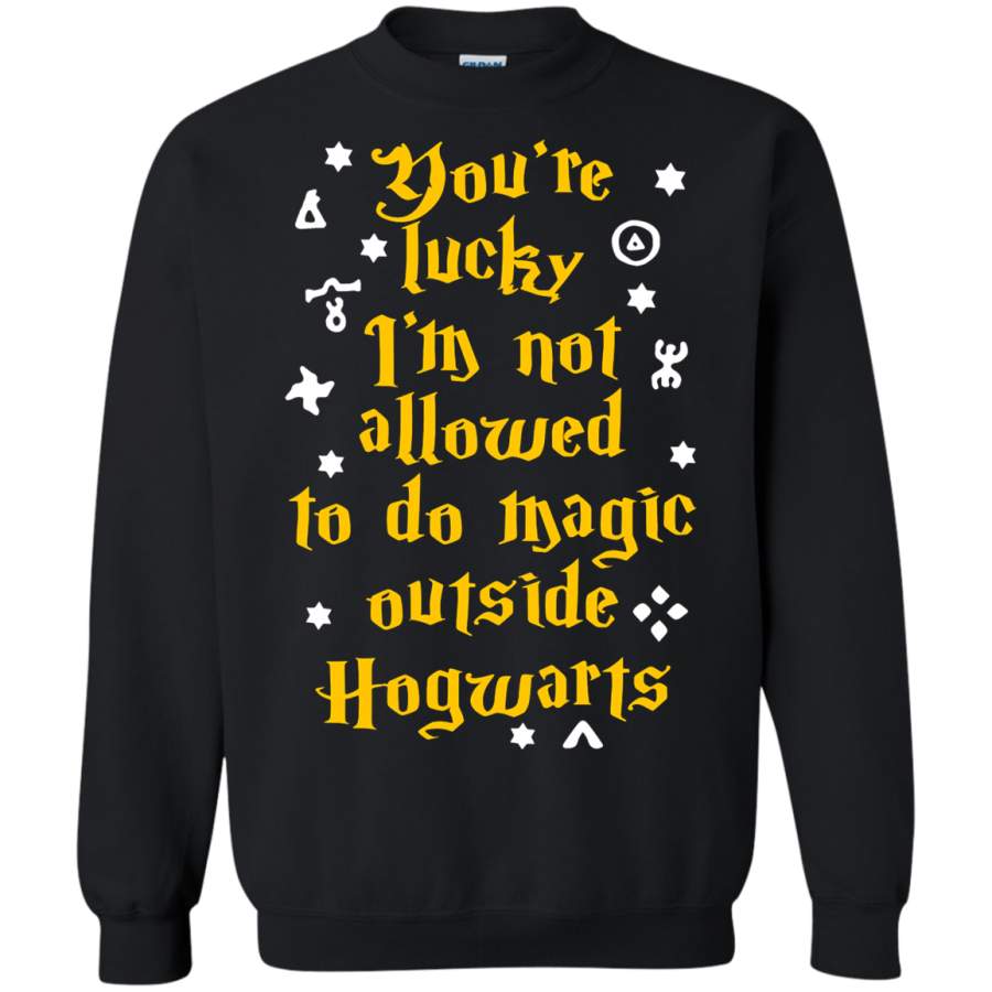 AGR You’re Lucky I’m Not Allowed To Do Magic Outside Hogwarts Sweatshirt