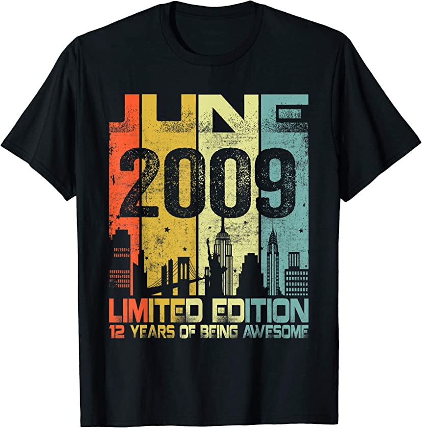 Vintage June 2009 Funny 12th Birthday 12 Years Old Gift T-Shirt