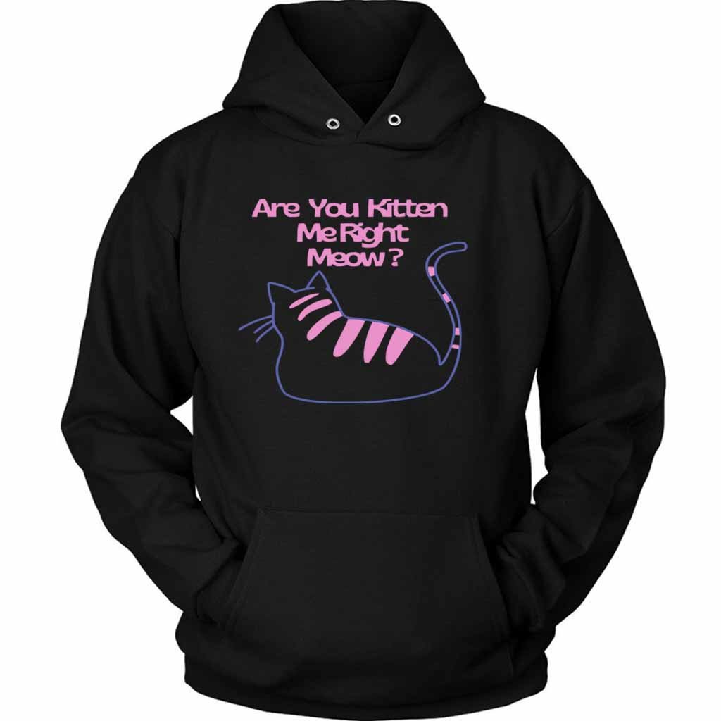 Are You Kitten Me Right Meow Art Unisex Hoodie