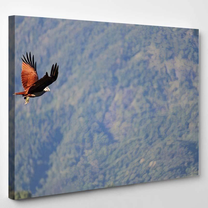 Photo About Flying Eagle On Sky – Eagle Animals Canvas Print