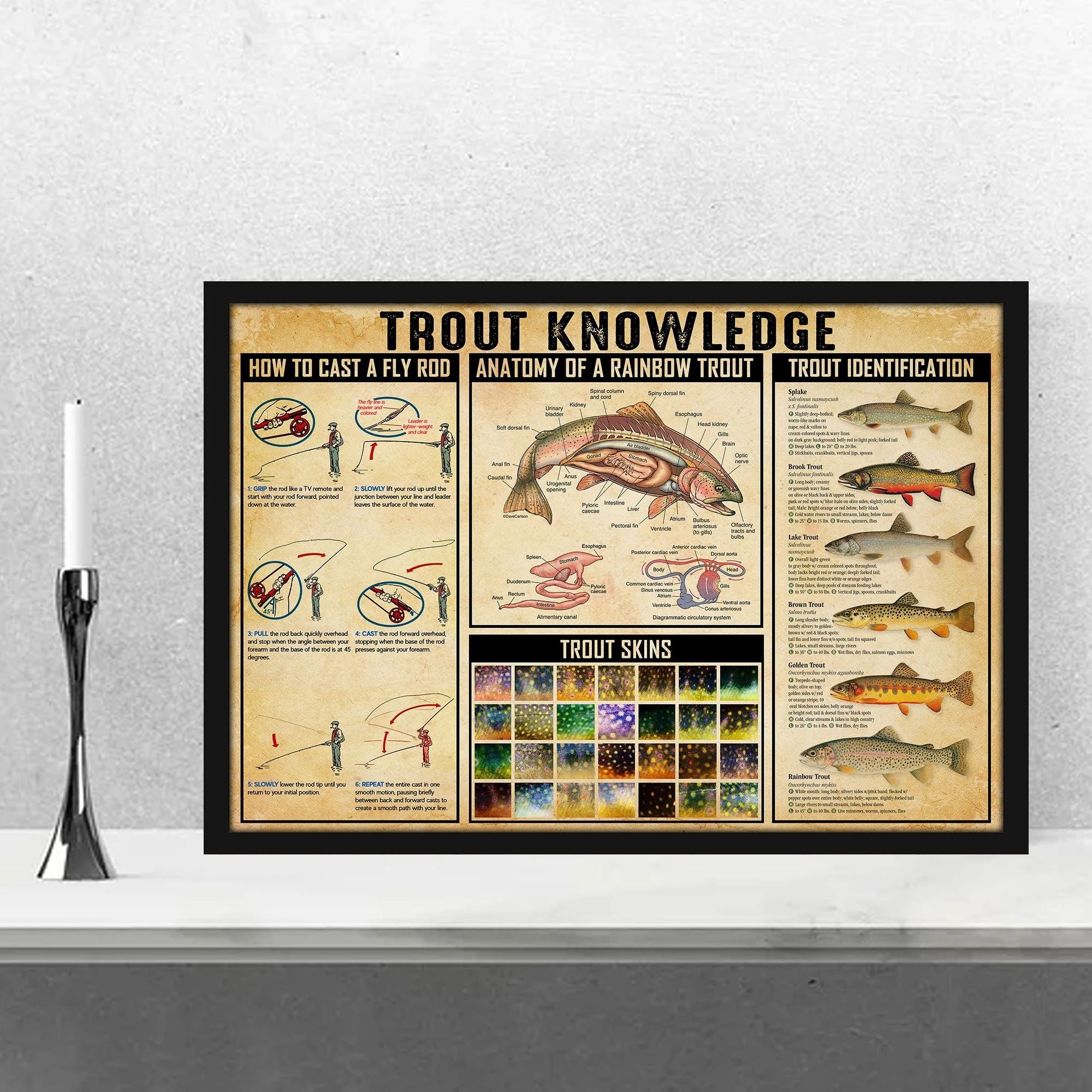 Trout Knowledge Horizontal Paper Canvas Prints Poster Wall Art Decor