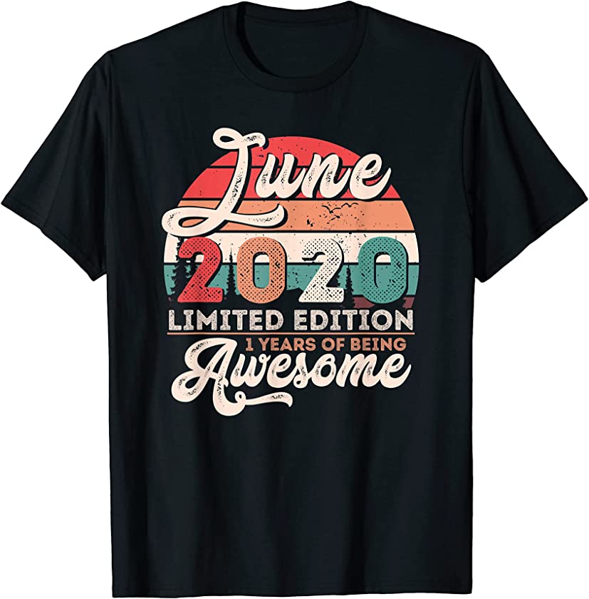 Vintage June 2020 Limited Edition 1 Year Old Birthday T-Shirt