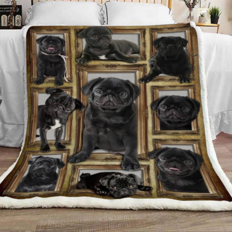 Black Pug Dog Sherpa Blanket JR0201 73O31