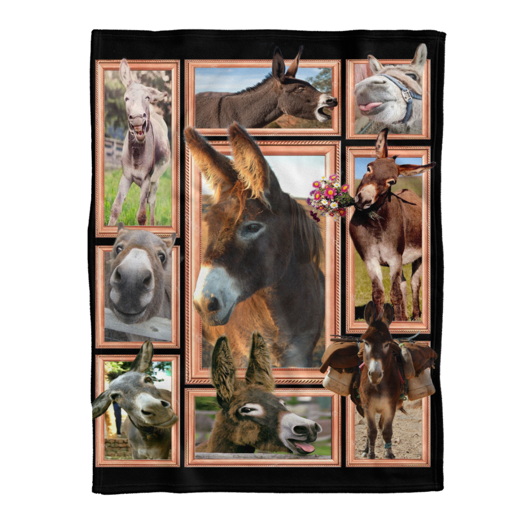 Animal Blanket, Donkey Cute Donkeys Blanket