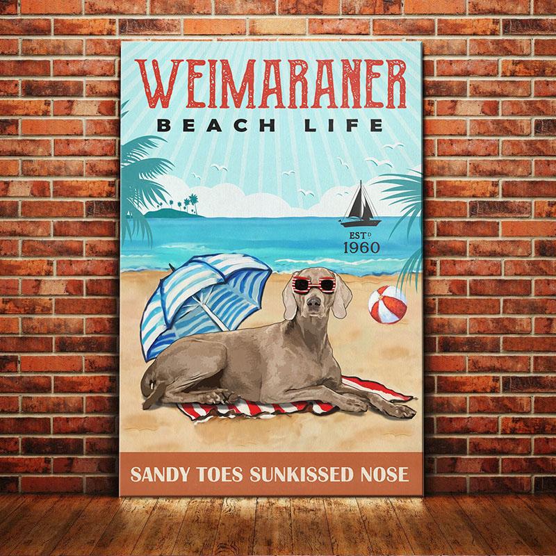 Weimaraner Dog Canvas And Poster Beach Life Sandy Toes Sunkissed Nose | Art Print | Home Decor | Room Decor | Wall Art