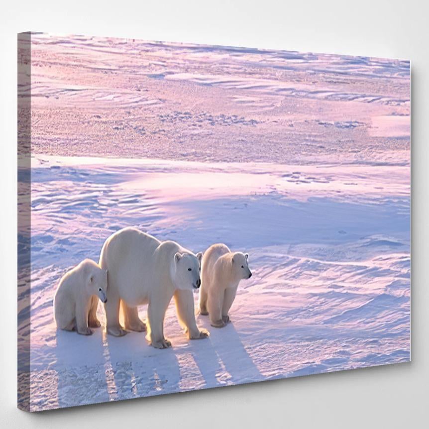 Polar Bear Cubs Canadian Arctic 1 – Bear Animals Canvas Print