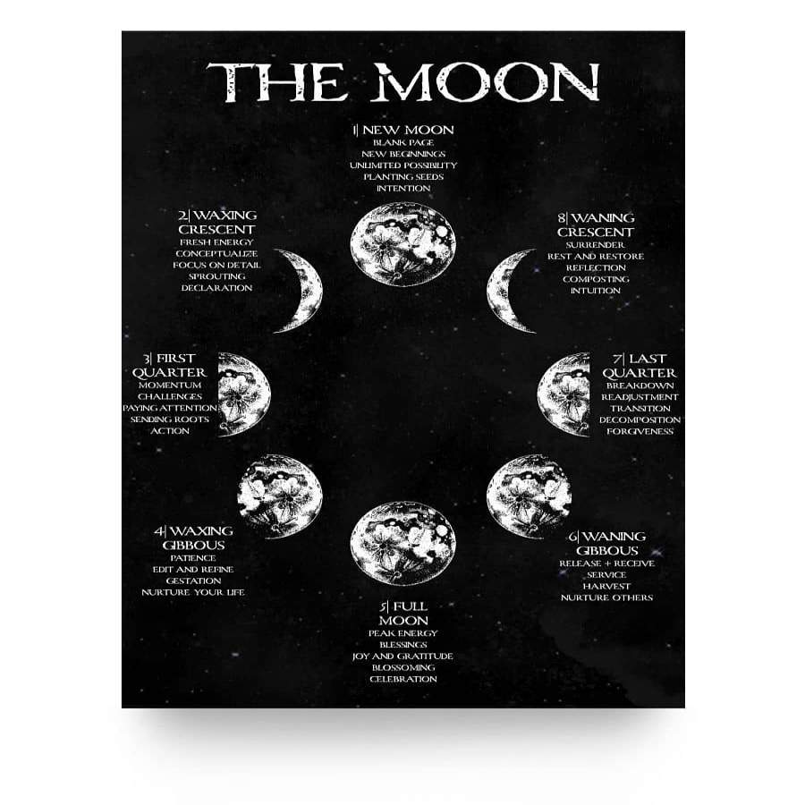 Moon Phase Poster - Poster Art Design