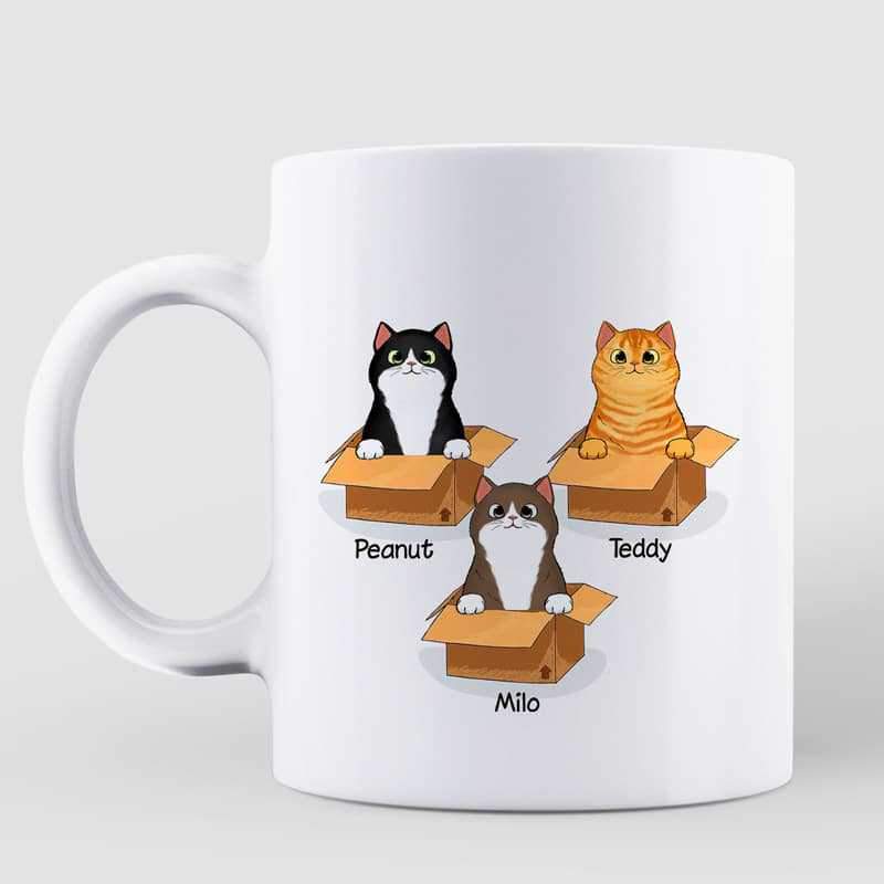 Fluffy Cats Love You More Than Boxes Personalized Mug