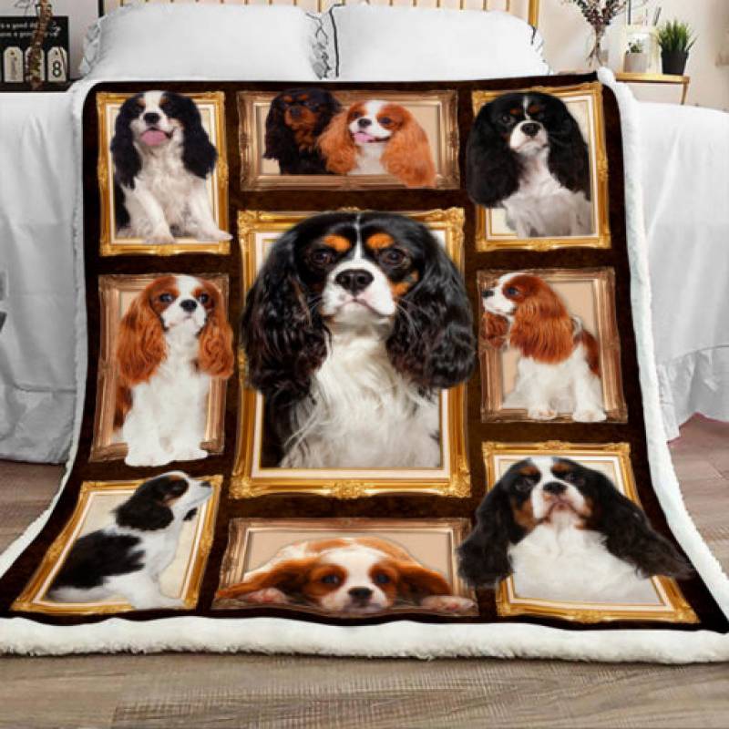 Cavalier King Charles Spaniels Sherpa Blanket JR0901 73O52