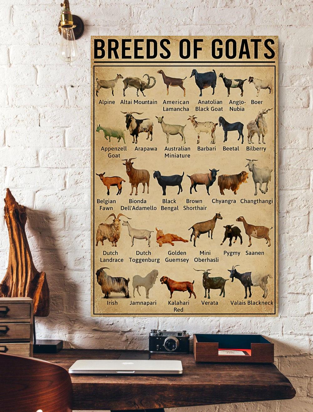 Breeds Of Goats Knowledge Vertical Print Poster