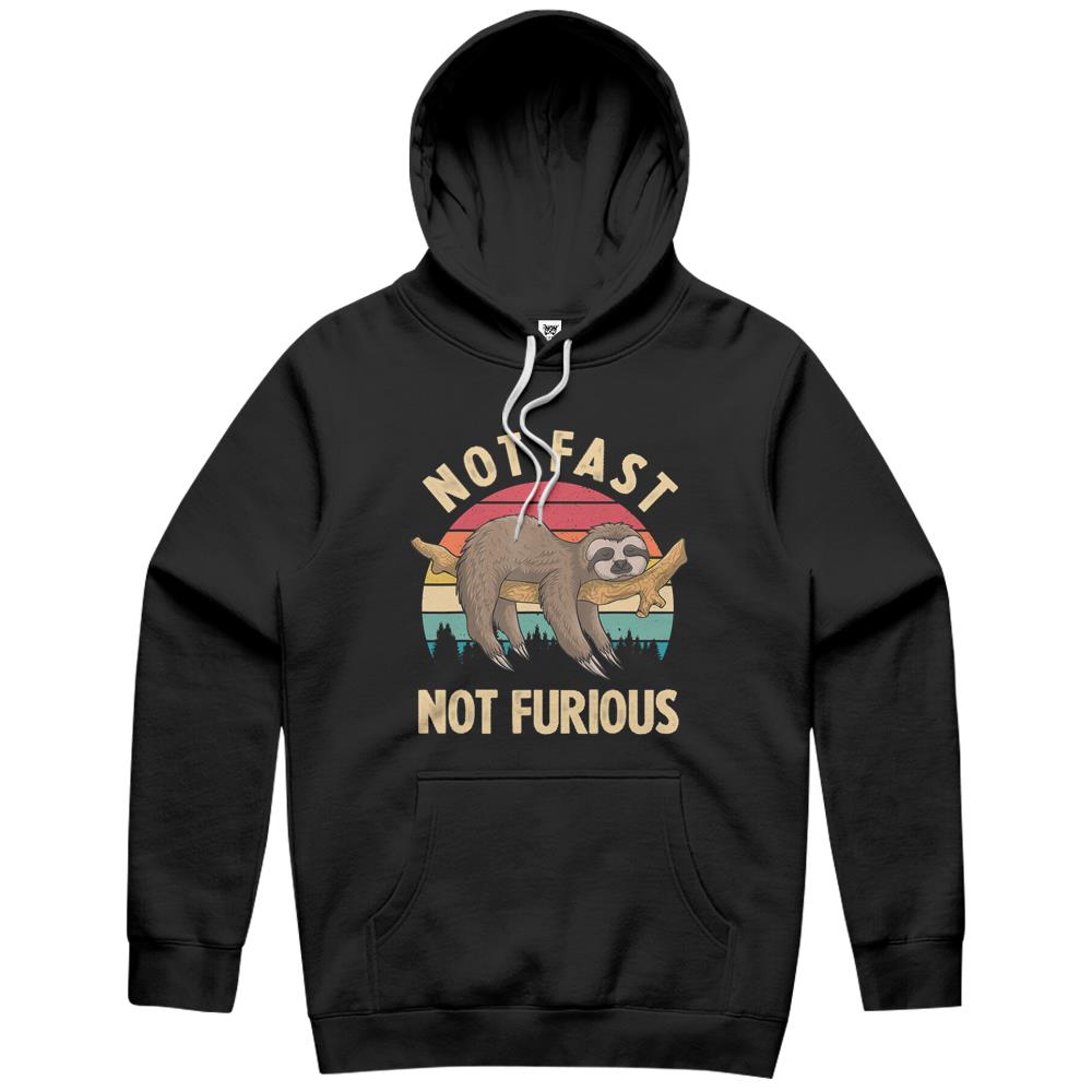 Funny Sloth Not Fast Not Furious Sloth Quote Cute Sloth Gift Hoodie