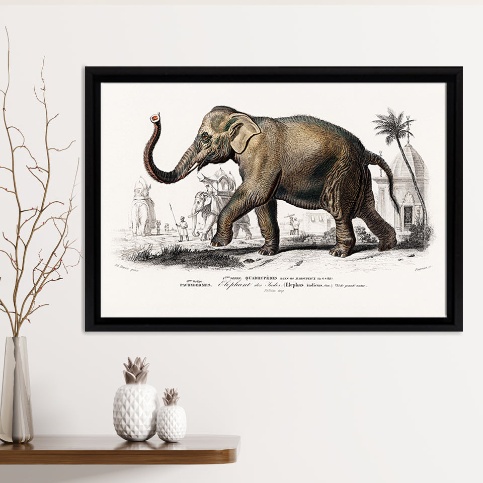 Asiatic Elephant Framed Canvas Print – Canvas Painting, Canvas Art, Wall Art, Wall Decor