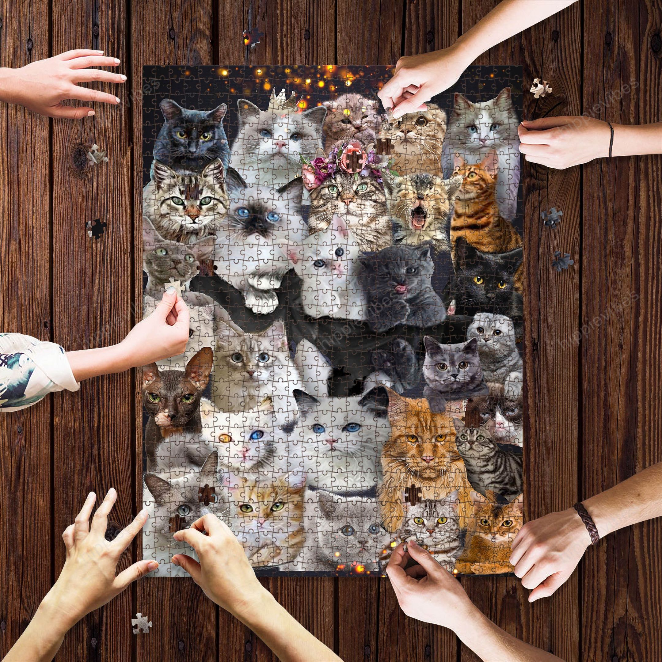 3D Cat Puzzle