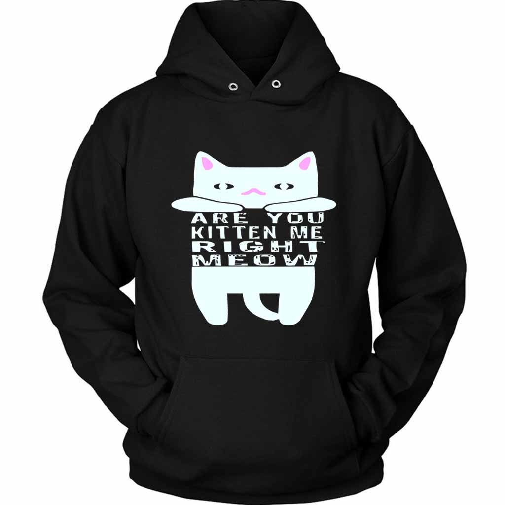 Are You Kitten Me Right Meow Home Unisex Hoodie